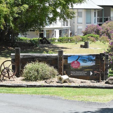Maleny Hinterland Escape Apartment Witta Exterior photo