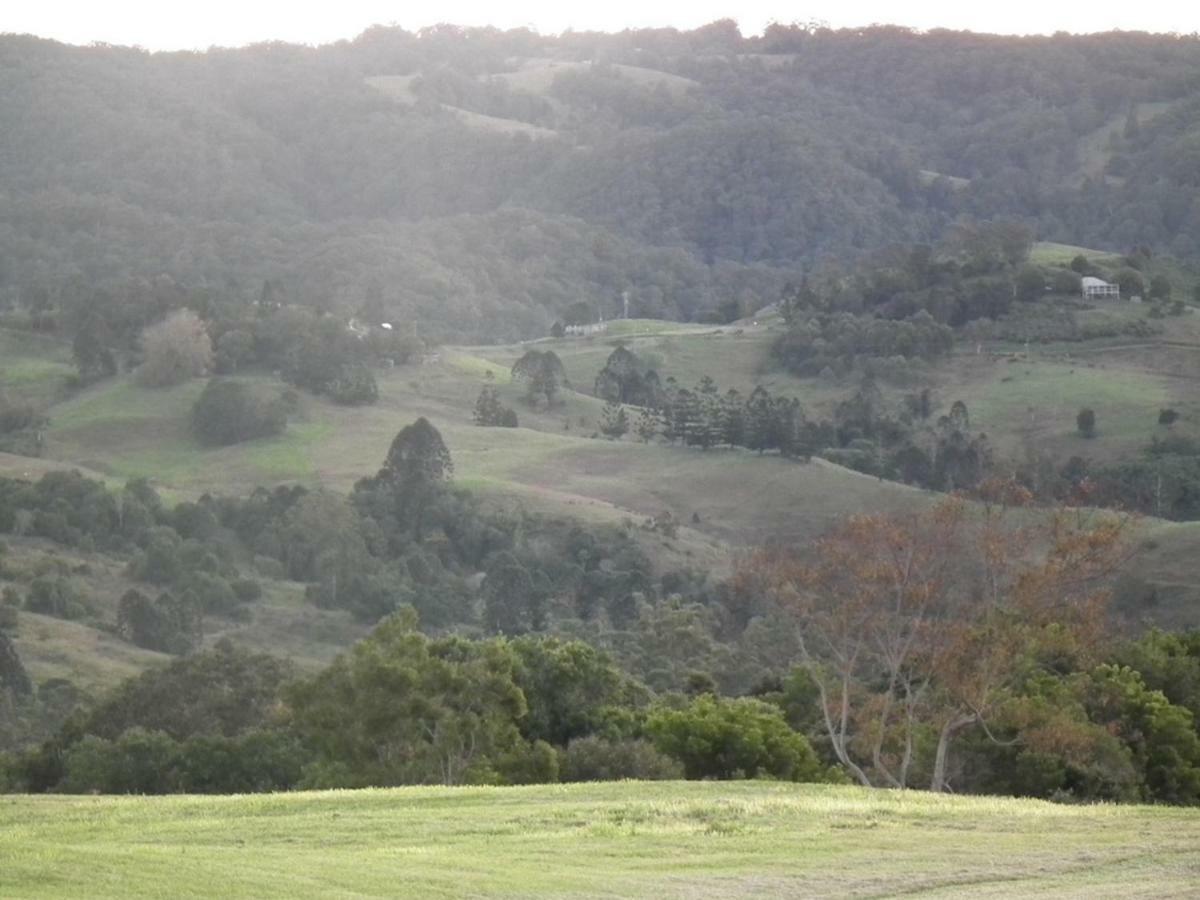 Maleny Hinterland Escape Apartment Witta Exterior photo